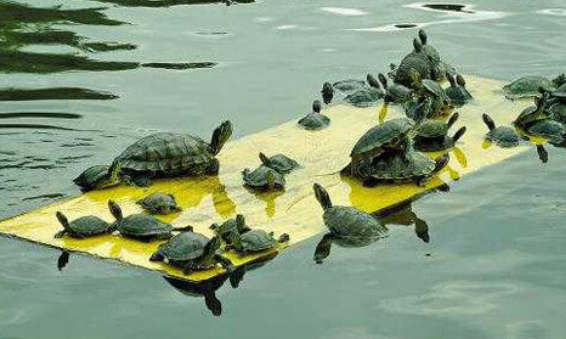 undefined{{pos:,w:,h:}}