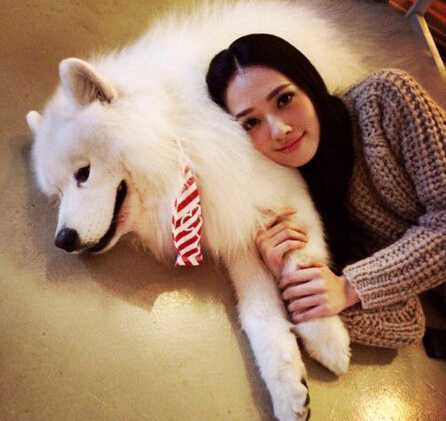 莫文蔚怀抱小狗晒汪星人合影 笑容迷人