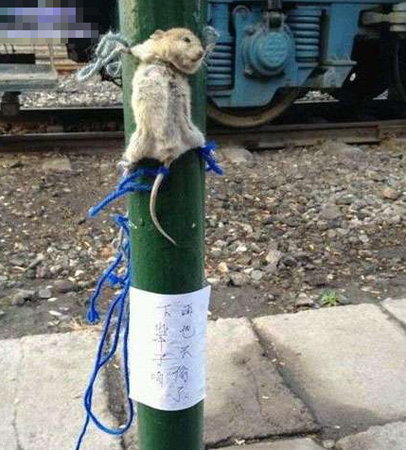 2货同事太会玩了