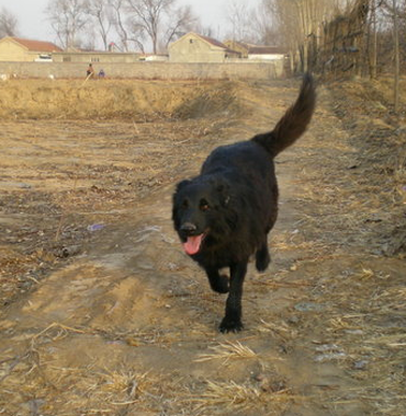 undefined{{pos:,w:,h:}}