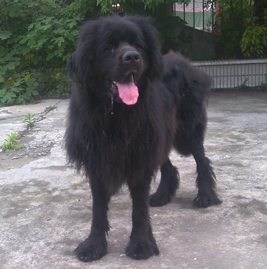 undefined{{pos:,w:,h:}}