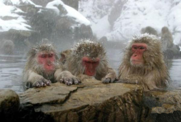 undefined{{pos:,w:,h:}}