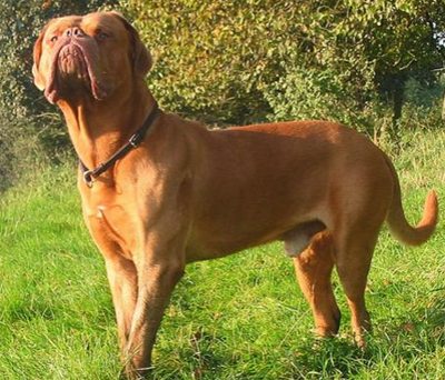 undefined{{pos:,w:,h:}}