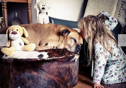 父亲拍下女儿与狗狗亲密瞬间照片 网友：好暖心