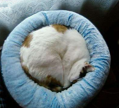 难道你刚被洗过并甩干的？