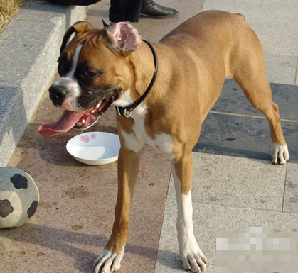 undefined{{pos:,w:,h:}}