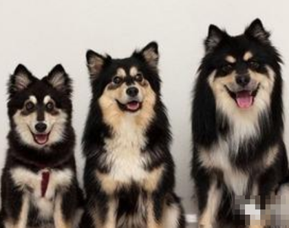 undefined{{pos:,w:,h:}}