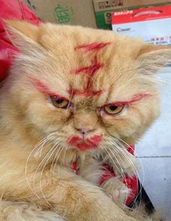 主银 从此以后咱俩势不两立