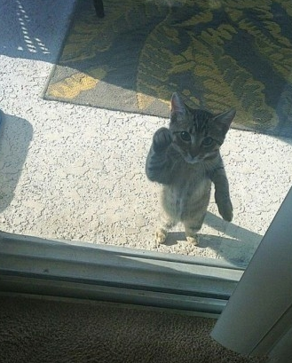 开下门，这有你的快递