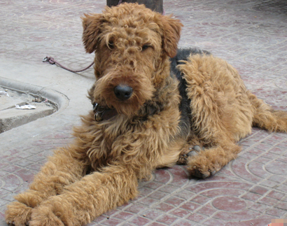 undefined{{pos:,w:,h:}}