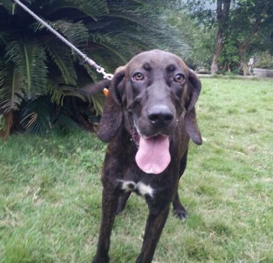 undefined{{pos:,w:,h:}}