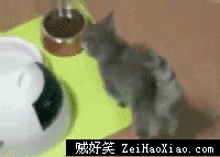 猪淫 求求你 在给我赏点