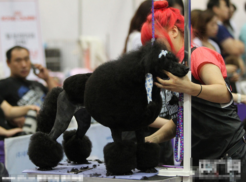 undefined{{pos:,w:,h:}}