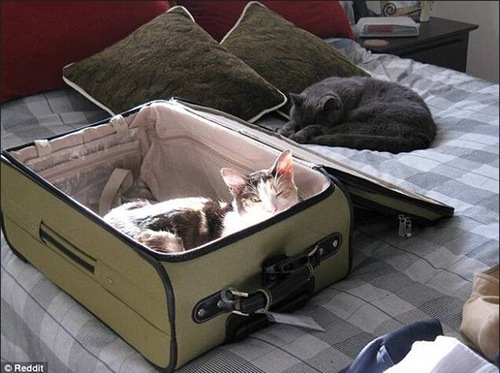 undefined{{pos:,w:,h:}}