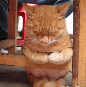 明天就要考试了，肿么办