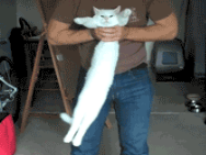 妈的，主淫好变态