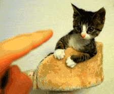 我要挠你的手指头