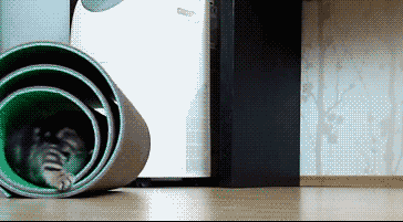 别以为藏在里面就安全了