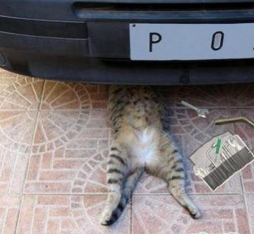 修车厂非法使用童工