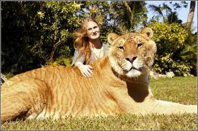 世界上最大的兔子是什么品种 动物之最：世界上最大的蛇