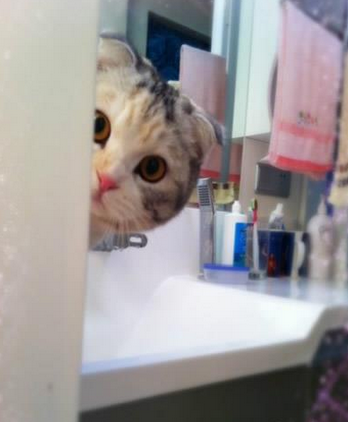 我知道你在偷看我