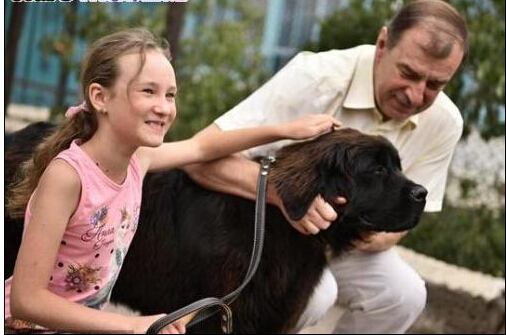 女孩虽家境贫寒但渴望养狗 普京亲自给女孩送狗