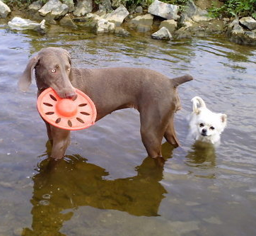 undefined{{pos:,w:,h:}}