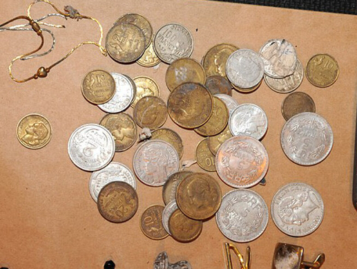 狗狗摇身变警探 助警方发现罪犯