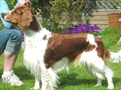 undefined{{pos:,w:,h:}}