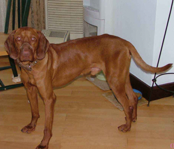 undefined{{pos:,w:,h:}}