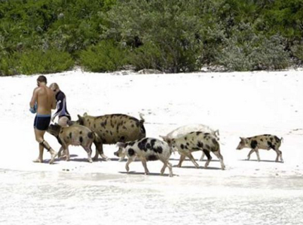 undefined{{pos:,w:,h:}}