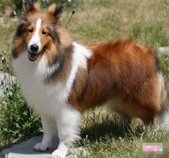 undefined{{pos:,w:,h:}}