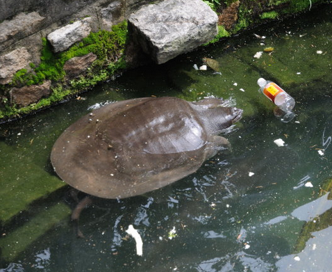 undefined{{pos:,w:,h:}}