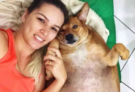 它本可能最幸福的流浪狗 却因爱心差点送命