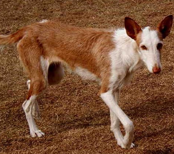 undefined{{pos:,w:,h:}}