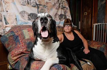 undefined{{pos:,w:,h:}}