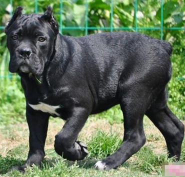 undefined{{pos:,w:,h:}}