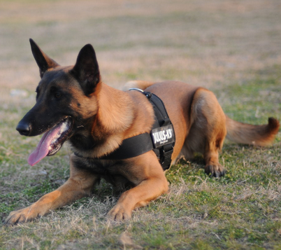 undefined{{pos:,w:,h:}}