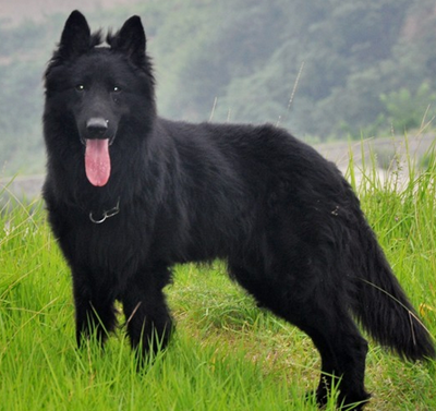 undefined{{pos:,w:,h:}}