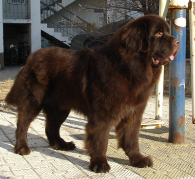 undefined{{pos:,w:,h:}}