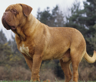 undefined{{pos:,w:,h:}}