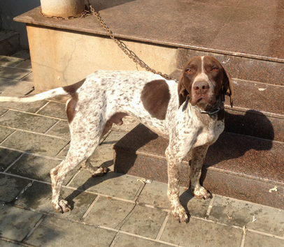 undefined{{pos:,w:,h:}}