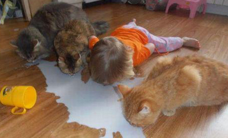 哎呀赶紧喝，不然被喝光了！