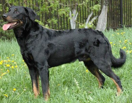 undefined{{pos:,w:,h:}}