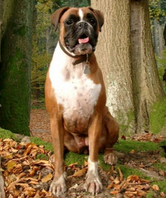 undefined{{pos:,w:,h:}}