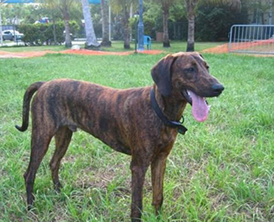 undefined{{pos:,w:,h:}}