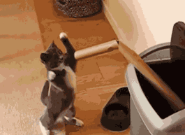 哼哼哈哈，打死你，打死你个小骚逼