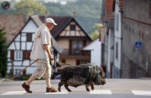 undefined{{pos:,w:,h:}}