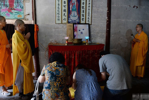 undefined{{pos:,w:,h:}}