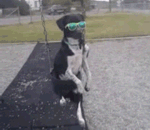 我也享受一下荡秋千的滋味